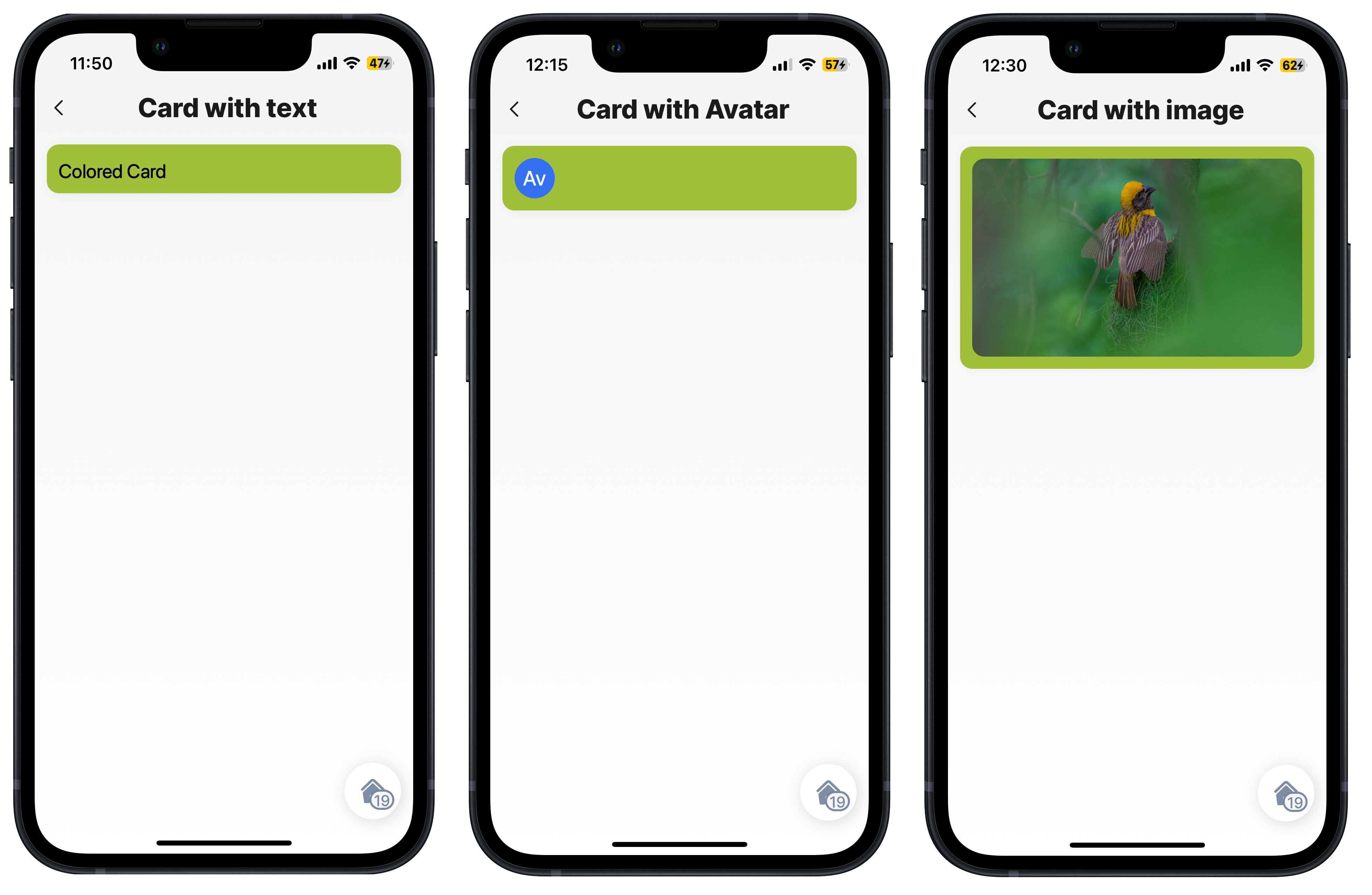 Basic colored card with components